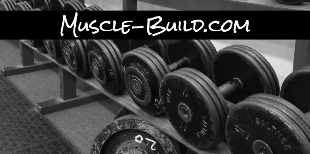 Muscle-Build banner 1089x543