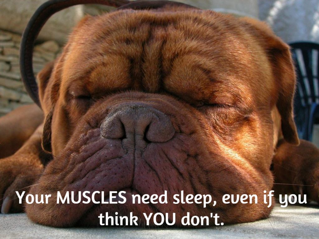Sleep is necessary for muscle growth and recovery