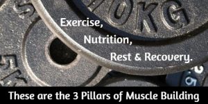 3 Pillars of Muscle Building
