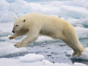 Cold water stimulates the appetite