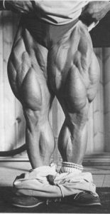 Tom Platz legs